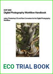 Digital Photography Workflow Handbook using Photoshop CS and Raw Converters for the Digital Photography Workflow