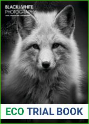 Black + White Photography