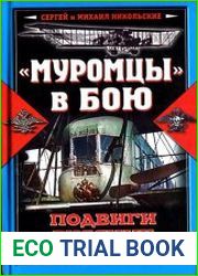 Муромцы в бою. Подвиги русских авиаторов