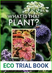 What is that Plant?