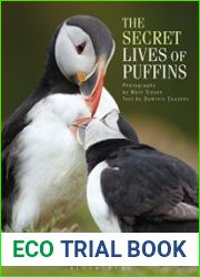 The Secret Lives of Puffins