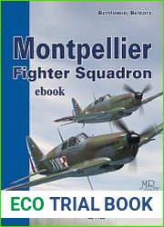 Montpellier Fighter Squadron (Mushroom Blue Series 7108)