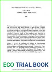 The Cambridge History of Egypt, Vol. 1 Islamic Egypt, 640-1517