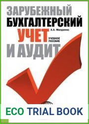 Зарубежный бухгалтерский учет и аудит