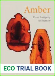 Amber From Antiquity to Eternity