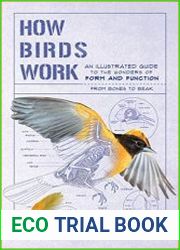 How Birds Work An Illustrated Guide to the Wonders of Form and Function - from Bones to Beak
