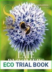 Sunday Express Sunday Magazine - August 04, 2024