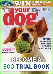 Your Dog - June 2024