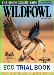 Wildfowl - April May 2024