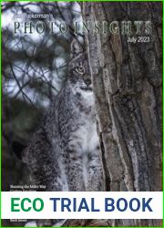 Photo Insights - July 2023