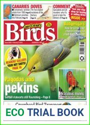 Cage and Aviary Birds - Issue 6250, February 08, 2023