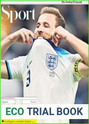 The Sunday Telegraph Sport - 11 December, 2022
