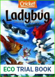 Ladybug - November December 2022