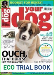Your Dog Magazine - November 2022