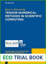 Tensor Numerical Methods in Scientific Computing (Radon Series on Computational and Applied Mathematics Book 19)