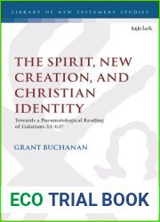 The Spirit, New Creation, and Christian Identity: Towards a Pneumatological Reading of Galatians 3:1-6:17 (The Library of New Testament Studies)
