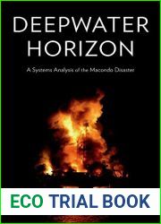 Deepwater Horizon: A Systems Analysis of the Macondo Disaster