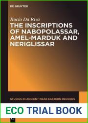 The Inscriptions of Nabopolassar, Amel-Marduk and Neriglissar (Studies in Ancient Near Eastern Records (SANER), 3)