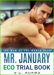 Mr. January (Corrupt Men and Sassy Women #1)