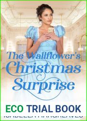 The Wallflower|s Christmas Surprise