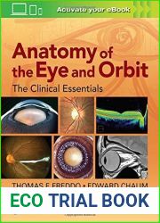 Anatomy of the Eye and Orbit: The Clinical Essentials