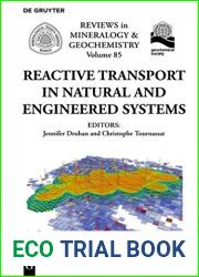 Reactive Transport in Natural and Engineered Systems
