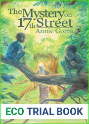 The Mystery on 17th Street