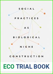 Social Practices as Biological Niche Construction