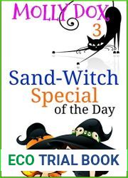 Sand-Witch Special of the Day (The Soup and Sand-Witch Cozy Mystery #3)