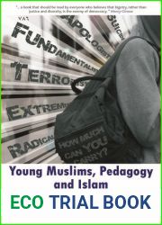 Young Muslims, Pedagogy and Islam: Contexts and Concepts