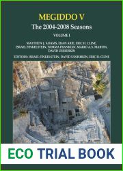 Megiddo V