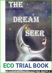 The Dream Seer: Maloney Investigations ( Book 2)