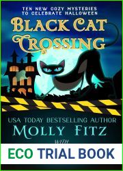 Black Cat Crossing