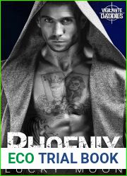 Phoenix (Vigilante Daddies #3)