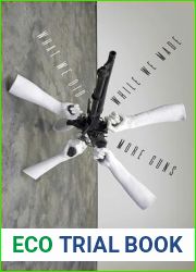 What We Did While We Made More Guns (Pitt Poetry Series)