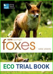 RSPB Spotlight: Foxes