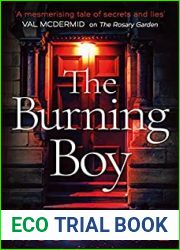 The Burning Boy (Vincent Swan, #3)