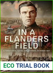 In A Flanders Field: A Territorial Battalion at Ypres, October 1917