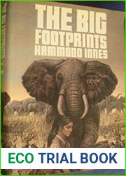 The Big Footprints