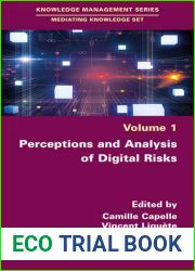 Perceptions and Analysis of Digital Risks