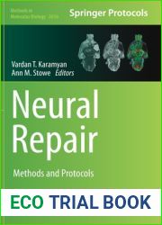 Neural Repair: Methods and Protocols (Methods in Molecular Biology, 2616)