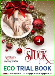 Stuck (Stocking Stuffer)