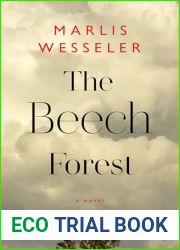 The Beech Forest