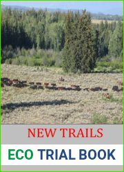 New Trails: Rebirth