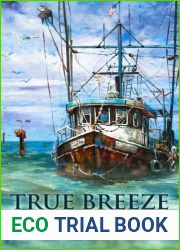 True Breeze
