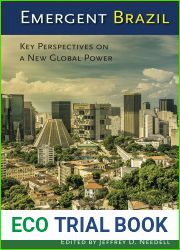 Emergent Brazil: Key Perspectives on a New Global Power