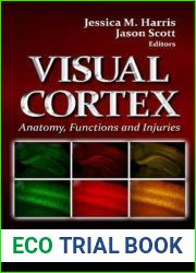 Visual Cortex: Anatomy, Functions and Injuries (Neuroscience Research Progress)