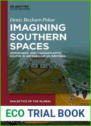 Imagining Southern Spaces: Hemispheric and Transatlantic Souths in Antebellum Us Writings