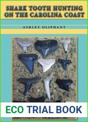 Shark Tooth Hunting on the Carolina Coast