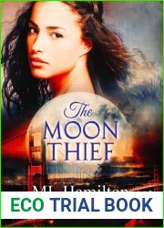 The Moon Thief